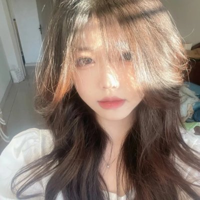 房子与狗